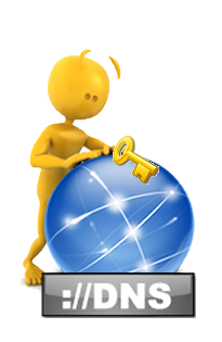 Primary DNS with full master zone file control