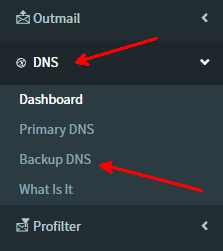 portal dns backupdns menu