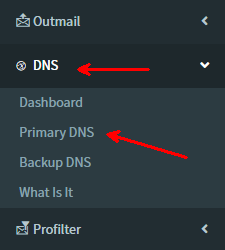 my-engine portal masterdns (primary dns) menu