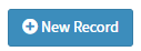 My-Engine portal - masterdns new record button