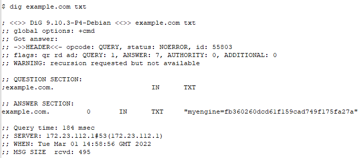 Example of dig results for a DNS TXT record